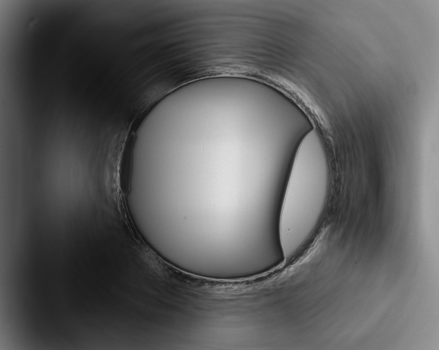 X0000088060889200705110911