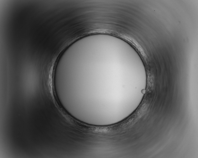 X0000088060890200705110911