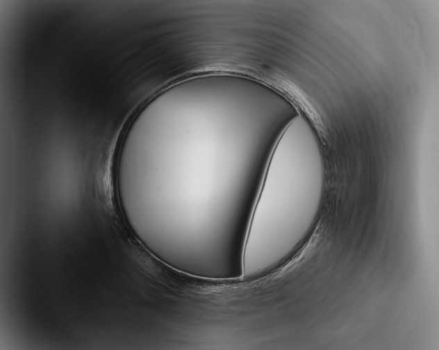 X0000088060892200705110911