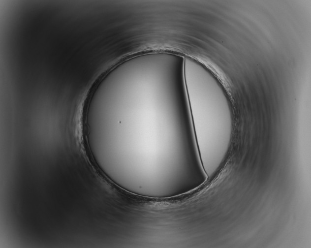X0000088060894200705110911