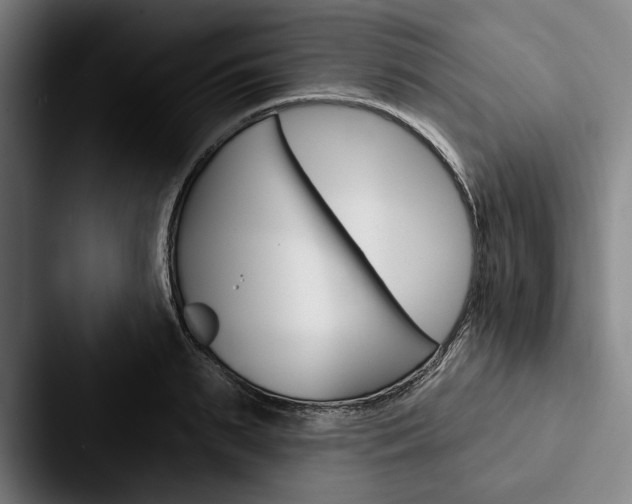 X0000088060895200705110911