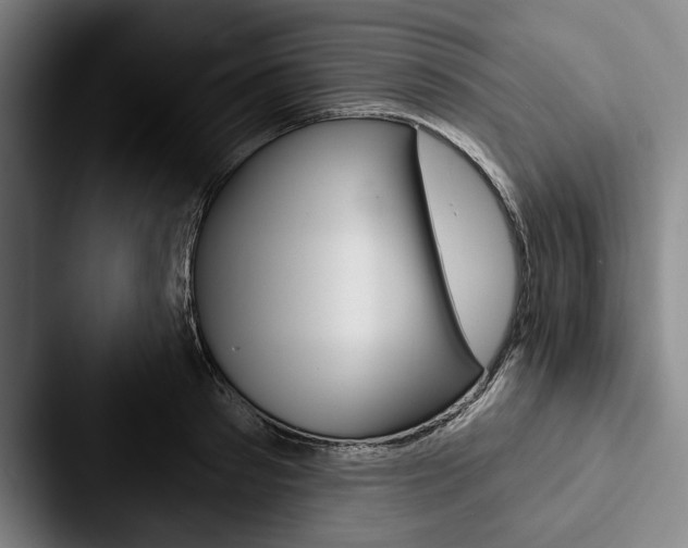 X0000088060897200705110911