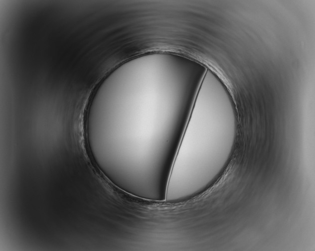 X0000088060898200705110911