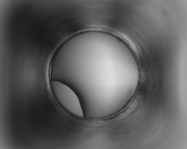 X0000088060899200705110911