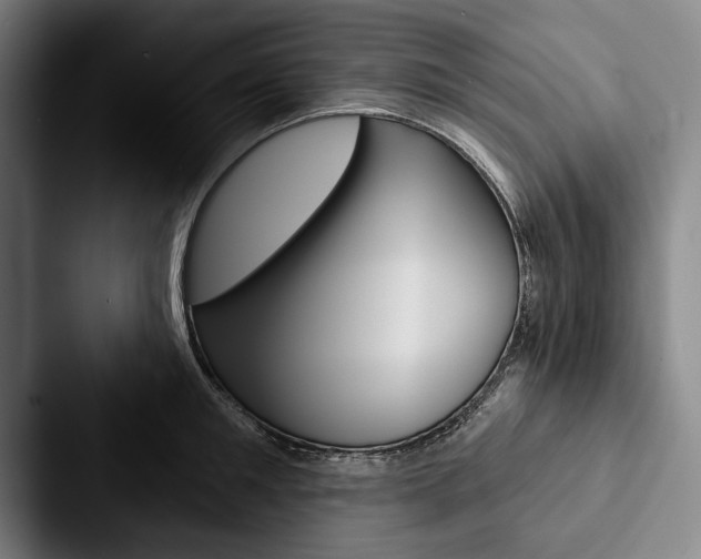 X0000088060901200705110911