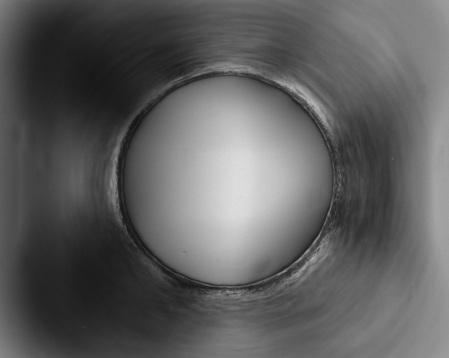 X0000088060902200705110911