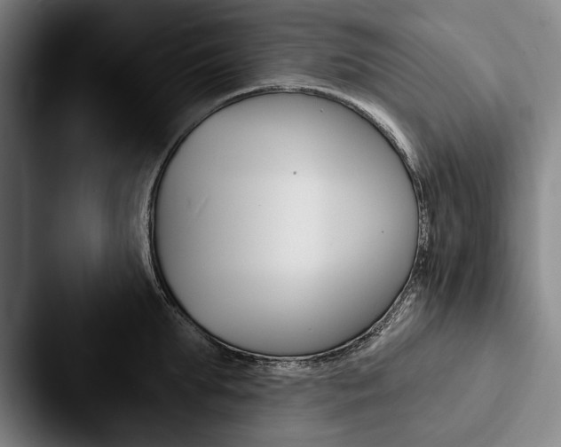 X0000088060903200705110911