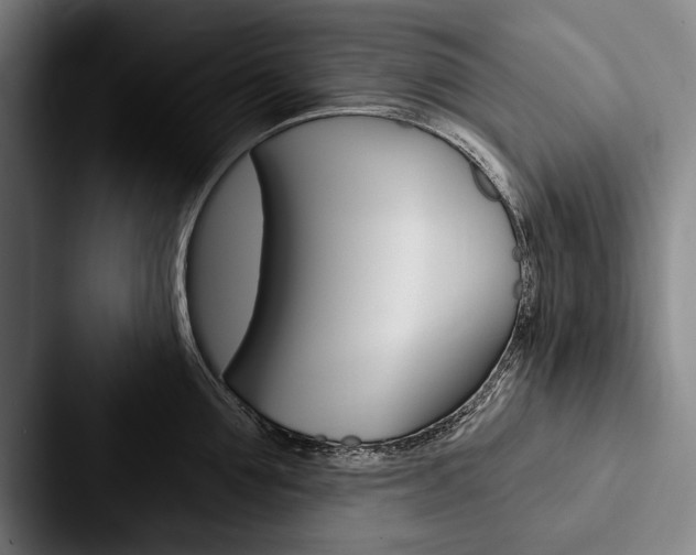 X0000088060907200705110911