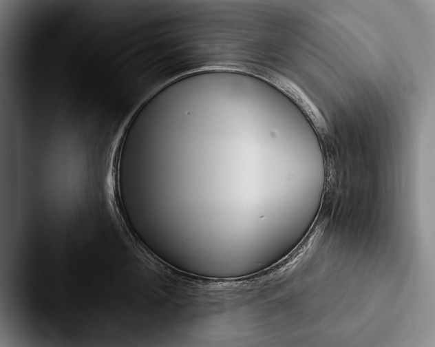 X0000088060908200705110911