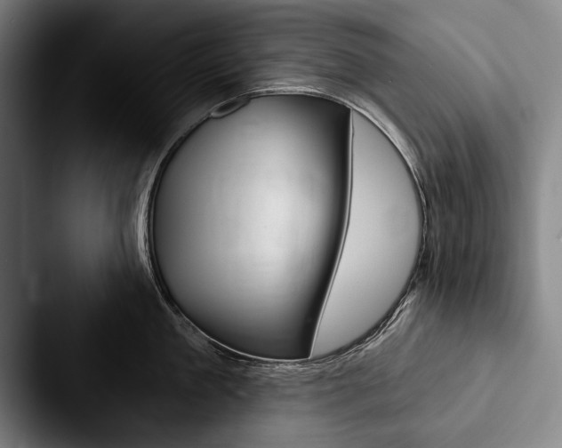 X0000088060909200705110911