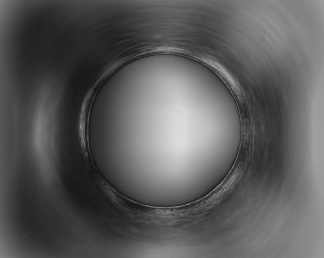 X0000088060910200705110911