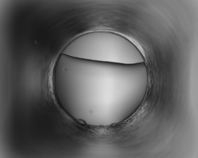 X0000088060911200705110911