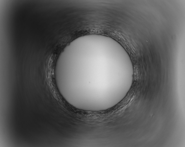 X0000088060913200705110910