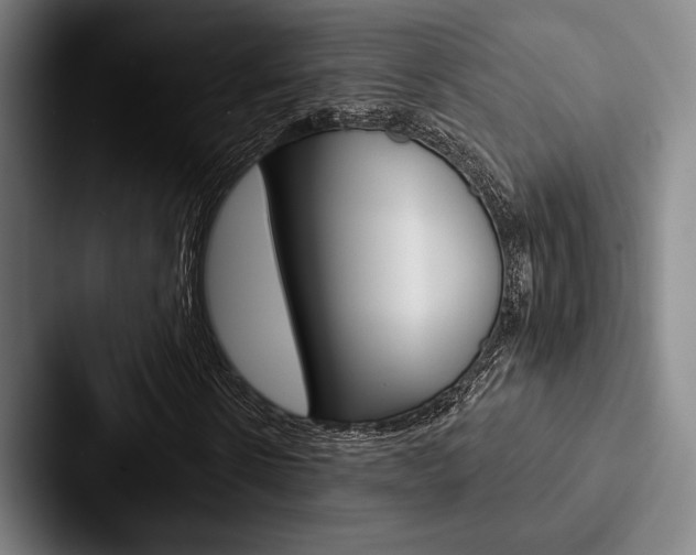 X0000088060914200705110910