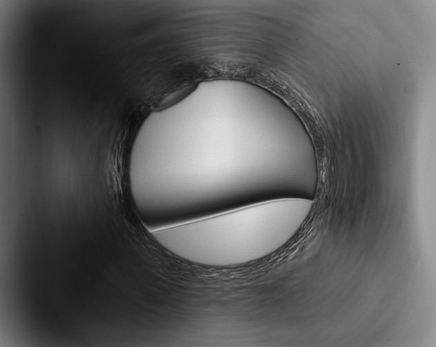 X0000088060915200705110910