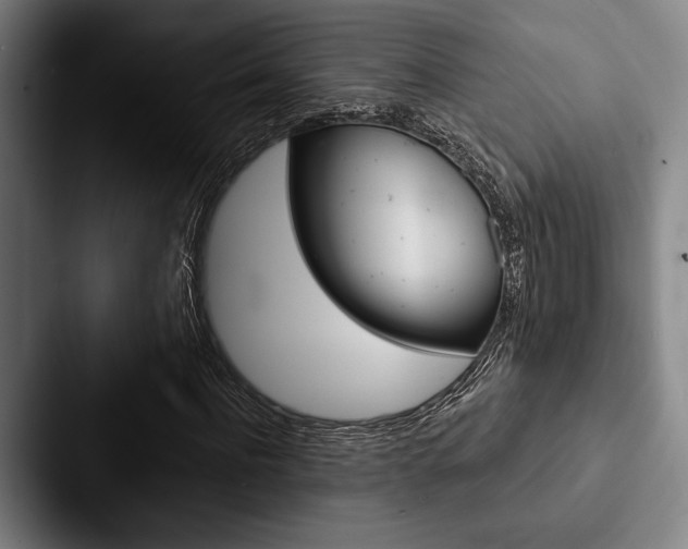 X0000088060916200705110910