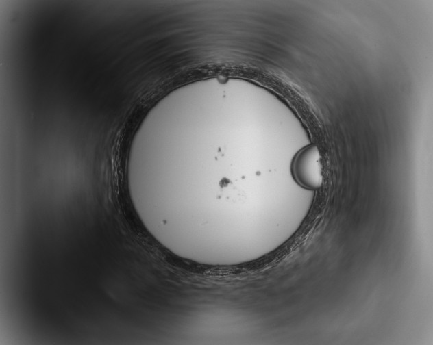 X0000088060918200705110910