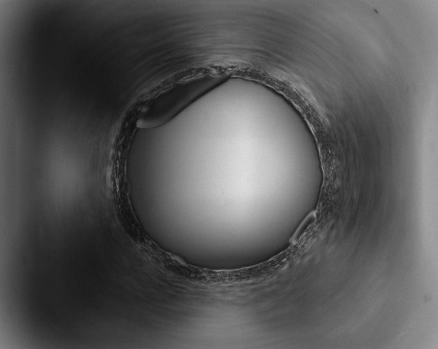 X0000088060920200705110910