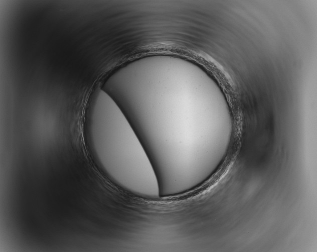X0000088060921200705110910