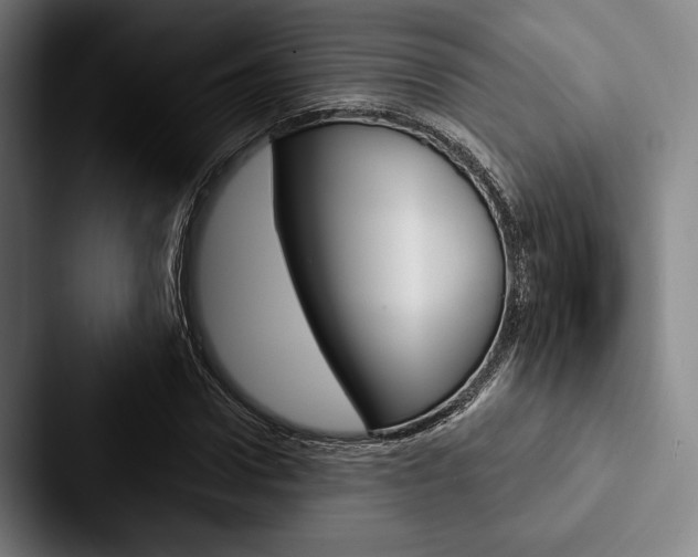 X0000088060922200705110910