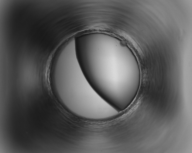 X0000088060923200705110910