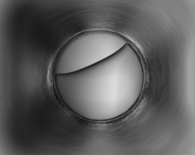 X0000088060925200705110911