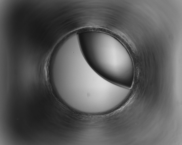 X0000088060926200705110911