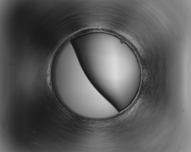 X0000088060927200705110911