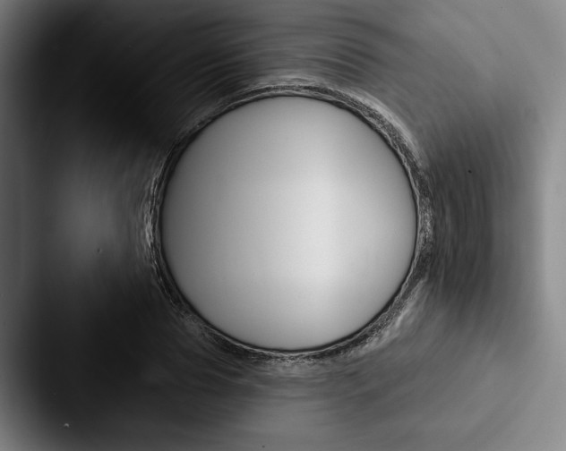 X0000088060929200705110911