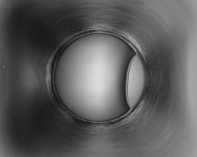 X0000088060931200705110911