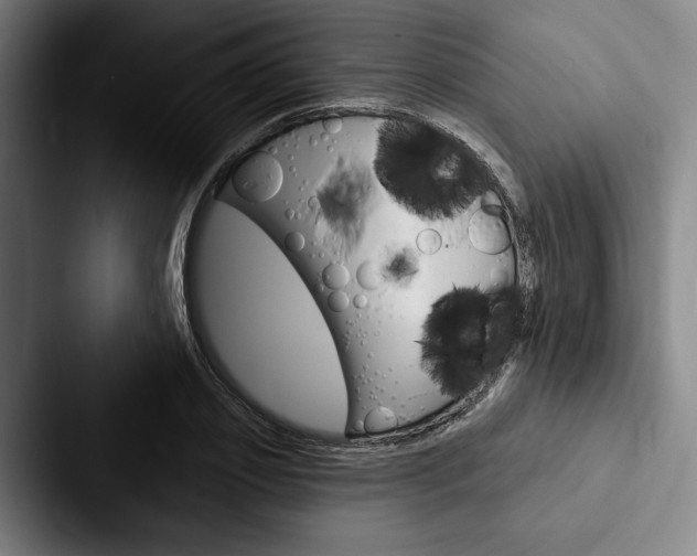 X0000088060933200705110911