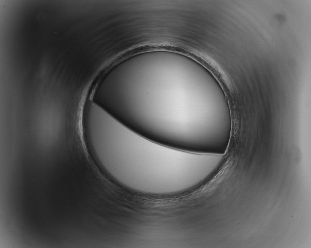 X0000088060935200705110911