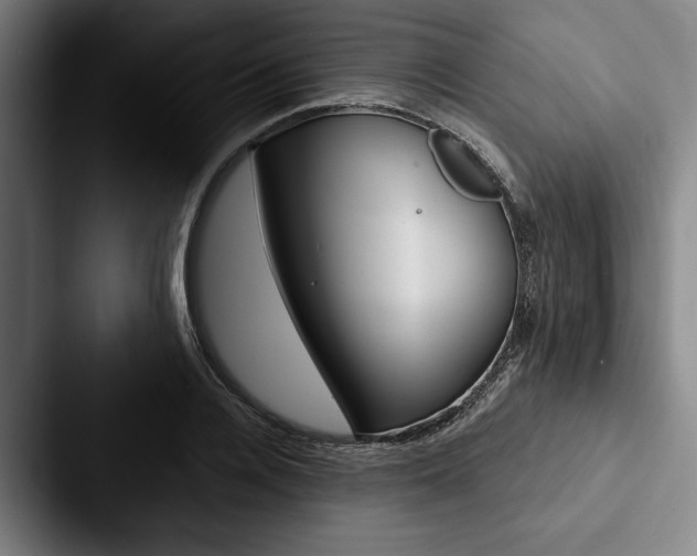 X0000088060936200705110911