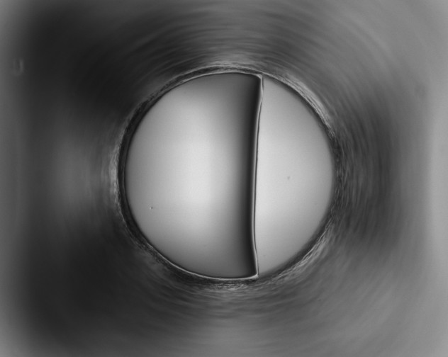 X0000088060939200705110911