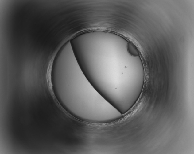 X0000088060941200705110911