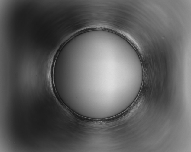 X0000088060943200705110911