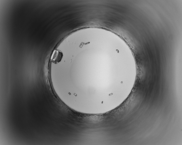 X0000088060950200705110911