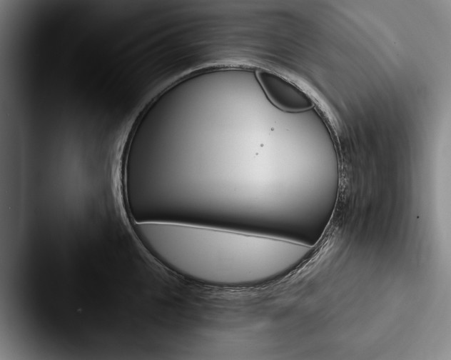 X0000088060951200705110911