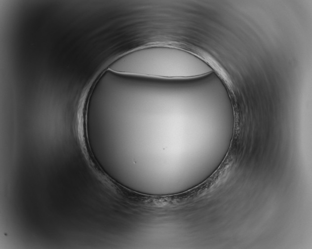 X0000088060955200705110911