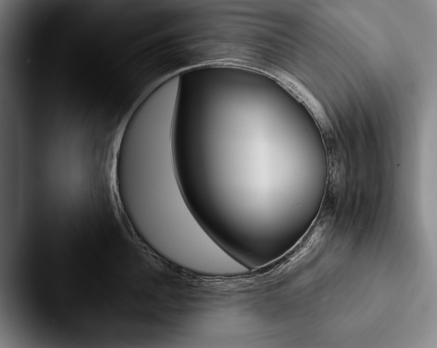X0000088060956200705110911