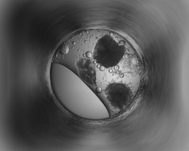 X0000088060957200705110911