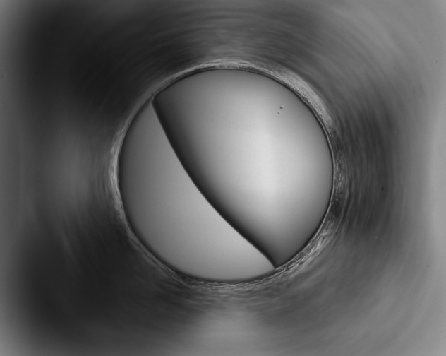 X0000088060958200705110911