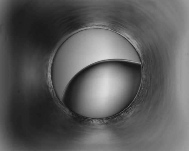 X0000088060960200705110911