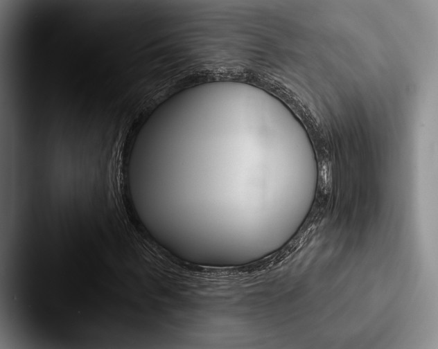 X0000088060963200705110910