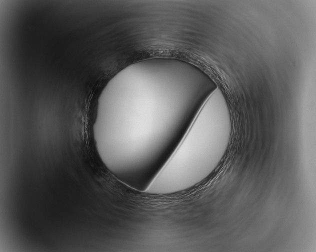 X0000088060964200705110910