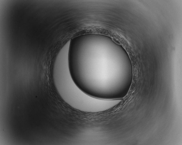 X0000088060965200705110910