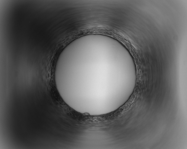 X0000088060966200705110910