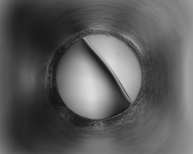 X0000088060968200705110910