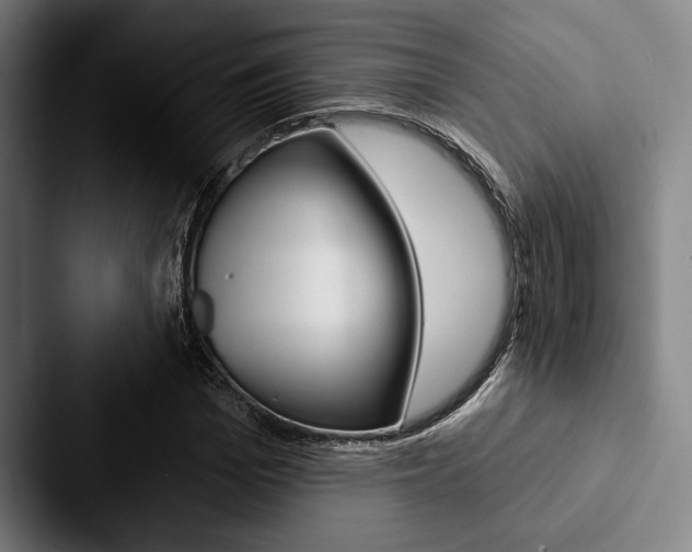 X0000088060969200705110910