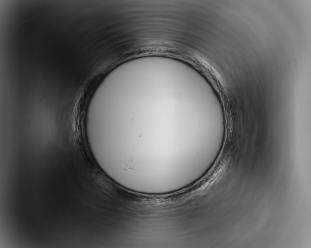 X0000088060970200705110910